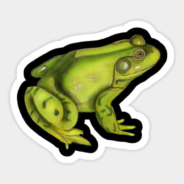 American Bullfrog Drawing Sticker by ArtAndBliss